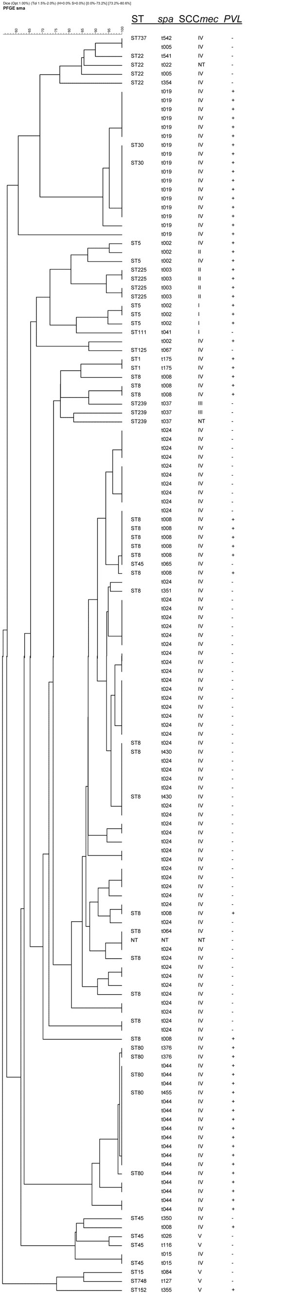 Cluster analysis by pulsed-field gel electrophoresis (PFGE). Data on spa type, staphylococcal chromosome cassette (SCC) mec type, Panton-Valentine leukocidin (PVL), and sequence type (ST) are included. Two isolates (t024 and t359) could not be typed by PFGE.