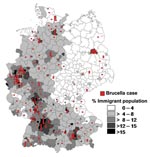 Thumbnail of Regional distribution of brucellosis cases and percentage of immigrants per county, Germany, 1995–2005.