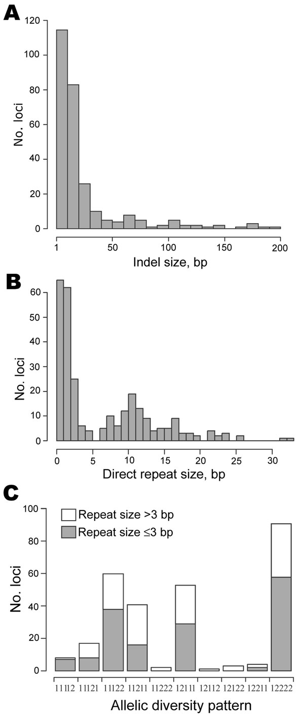 Properties of 280 insertion-deletion (indel) loci identified by analysis of 5 Francisella tularensis genome sequences. The diagrams show distributions of indel sizes (A), repeat sizes detected at these loci (B), and10 allelic diversity patterns (C); the number 1 or 2 represents each of the 2 allelic variants. A string of numbers includes, in order, strain U112 (subsp. novicida), FSC147 (subsp. mediasiatica), SCHU S4 (subsp. tularensis), OSU18 (subsp. holarctica), and LVS (subsp. holarctica). Empty and filled bars correspond to the presence or absence of repeats &gt;3 bp long, respectively.