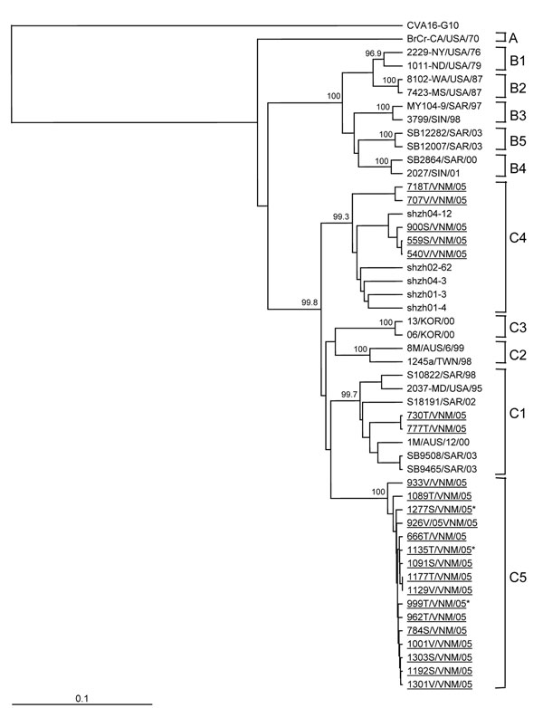 Dendrogram constructed by using the neighbor-joining method (25) showing the genetic relationships between 23 human enterovirus 71 (HEV71) strains isolated in southern Vietnam during 2005 (underlined), based on the alignment of complete VP1 gene sequences. Branch lengths are proportional to the number of nucleotide differences. The bootstrap values in 1,000 pseudoreplicates for major lineages within the tree are shown as percentages. The marker denotes a measurement of relative phylogenetic distance. Strain names indicate a unique numerical abbreviation of country and year of isolation. Asterisks (*) denote HEV71 isolates obtained from fatal cases. The prototype coxsackievirus 16 (CVA16)–G10 strain (28) was used as an outgroup. The dendrogram shows genogroups A, B, and C as identified by Brown et al. (24). Details of the strains used to prepare the dendrogram are shown in Table 1.