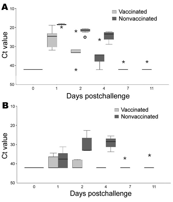 Detection of viral RNA by real-time reverse transcription–PCR (RT-PCR) from oropharyngeal (A) and cloacal (B) swabs of 5 vaccinated and 5 nonvaccinated falcons after challenge with 106.0 50% egg infectious doses of the highly pathogenic avian influenza virus strain A/Cygnus cygnus/Germany/R65/06 (H5N1). Y axis shows cycle-of-threshold (Ct) values of real-time RT-PCRs detecting an M gene fragment in individual swab samples of each animal. Asterisks represent extreme values; open circles show individual outliers; black bars within boxes indicate medians.