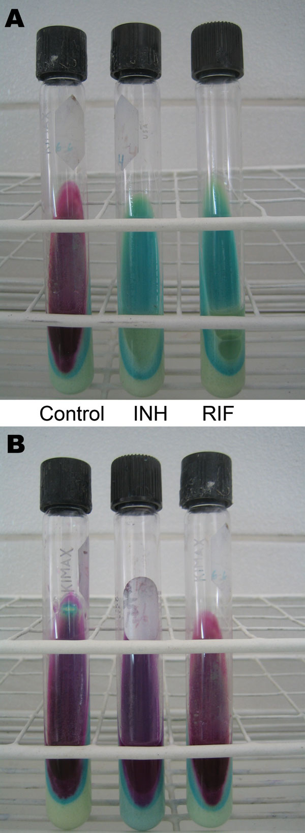 Description and costs of the direct Griess method in Peru. A) Pan-susceptible Mycobacterium tuberculosis isolate. B) M. tuberculosis isolate resistant to isoniazid (INH) and rifampin (RIF). The left (control) tube in panel A and all tubes in panel B indicate mycobacterial growth. The costs of the test are US $5.30 per sample, including personnel, materials (items that can be reused), and supplies (reagents and consumable items), and US $4.80 per sample, including materials and supplies.