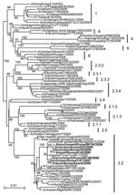 Thumbnail of Phylogenetic trees for hemagglutinin (HA) genes of Korean influenza virus (H5N1) isolates from wild birds and poultry farms during 2006–2007. The DNA sequences were compiled and edited by using the Lasergene sequence analysis software package (DNASTAR, Madison, WI, USA). Multiple sequence alignments were made by using ClustalX (10). Rooted phylograms were prepared with the neighbor-joining algorithm and then plotted by using NJplot (11). Branch lengths are proportional to sequence divergence and can be measured relative to the scale bar shown (0.01-nt changes per site). Branch labels record the stability of the branches &gt;1,000 bootstrap replicates. The tree was produced by referring to the proposed global nomenclature system for influenza virus (H5N1) (www.offlu.net). Boldface indicates isolates tested in the current study.