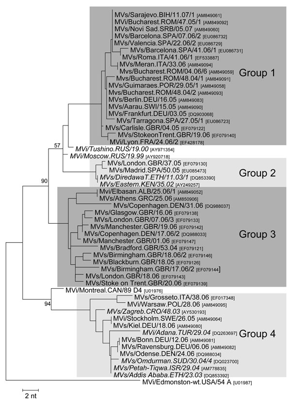 Four different genetic groups of genotype D4 identified in Europe during 2005–2006 and their closest relatives (in italics) identified on other continents. Tree calculation and measles virus nomenclature are as delineated in Figure 1.