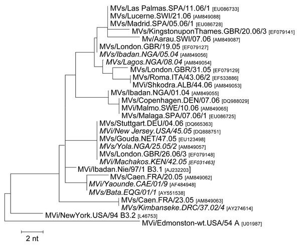 Genotype B3 variants identified in Europe during 2005–2006 and some closely related strains identified on other continents (in italics). Tree calculation and measles virus nomenclature are as delineated in Figure 1.