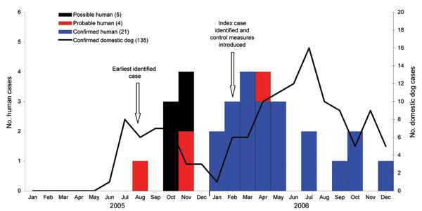 Numbers of possible, probable, and confirmed human cases and laboratory-confirmed domestic dog rabies cases by month of diagnosis, Limpopo Province, South Africa, 2005–2006.