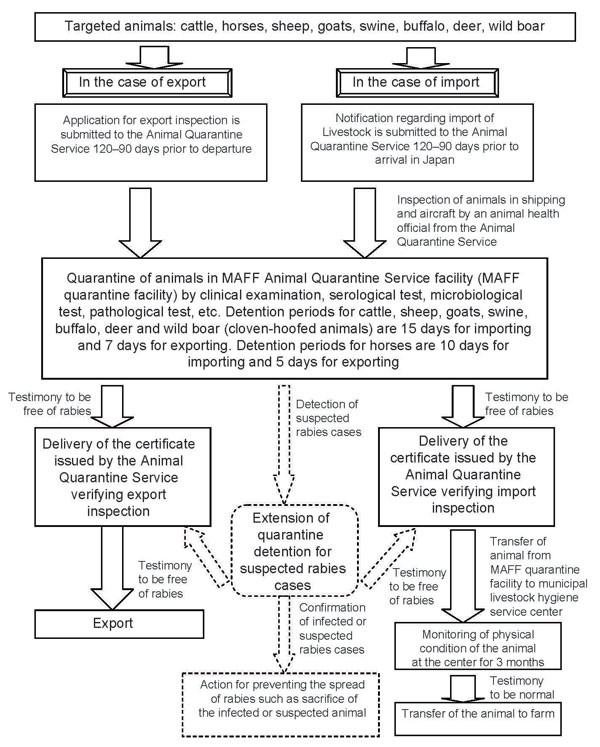 Flowchart of the inspection for rabies infection for importing and exporting animals under the Domestic Animal Infectious Diseases Control Law. The figure is based on our interpretation of data from reference (25). Dashed lines show emergency countermeasures. MAFF, Ministry of Agriculture, Forestry and Fisheries.
