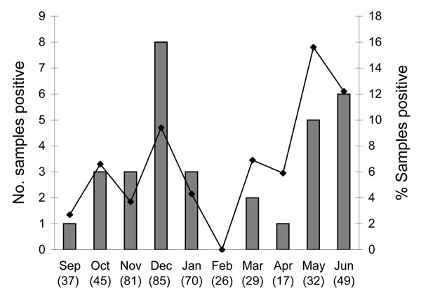 Seasonal distribution of WU polyomavirus (WUPyV) in children hospitalized with acute lower respiratory tract infection, September 2006–June 2007. Total no. WUPyV-positive samples = 34. Number in parentheses after each month is total number of samples tested.
