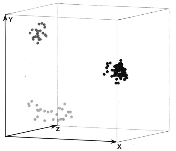 Three-dimensional presentation of the principal coordinate analysis of the PCR fingerprinting data showing 3 distinct clusters which correspond to Scedosporium prolificans (black dots), S. aurantiacum (dark gray dots), and S. apiospermum (light gray dots), with S. apiospermum showing the highest genetic variation.