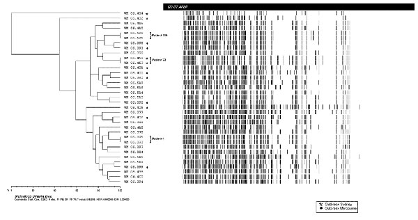 Dendogram generated by unweighted pair group method with arithmetic mean and the procedure of Nei and Li (32) for the amplified fragment length polymorphism (AFLP) profile obtained from the 2 suspected case clusters and selected 23 other Australian Spedosporium prolificans strains using the primer pairs EcoRI-TG and MseI-CA. None of the investigated isolates showed any epidemiologic connection except the isolates obtained from the same patient (nos. 1, 73, 119). Pt, patient.
