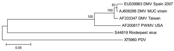 Neighbor-joining phylogram of 6 selected sequences from marine mammal morbilliviruses and Rinderpest virus. The name of the sequence indicates the GenBank accession number, virus species, and the country of the isolate. DMV, dolphin morbillivirus; PWMV, pilot whale morbillivirus; PDV, phocine distemper virus. The scale bar indicates the p-distance of the branches.