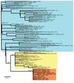 Thumbnail of Maximum-likelihood tree of 67 partial G gene sequences of raccoon rabies virus sampled in or near Ohio, 1987–2004. Sequences from the 2004 outbreak are shown in boldface. Bootstrap values and corresponding Bayesian posterior values (both as percentages) are shown for key nodes. Tree was rooted using a raccoon rabies virus sequence from a Florida raccoon (not shown). Numbers following taxa names indicate the time of sampling, which is expressed relative to the year 1900 (i.e., '102.6' represents June 10 of the year 2002). See Figure 2 for further details.