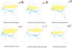 Thumbnail of Distribution in the eastern hemisphere of the 6 wild duck species used in this study. Yellow, summer (breeding) range; blue: winter range; green, permanent range. (Sources: del Hoyo J, Elliot A, Sargatal J, editors. Handbook of the birds of the world. Volume 1: Ostrich to ducks. Barcelona: Lynx Edicions, 1992; Mullarney K, Svensson L, Zetterström D, Grant PJ. ANWB bird guide of Europe [in Dutch]. Baarn, the Netherlands: Tirion Uitgevers, 2000.)