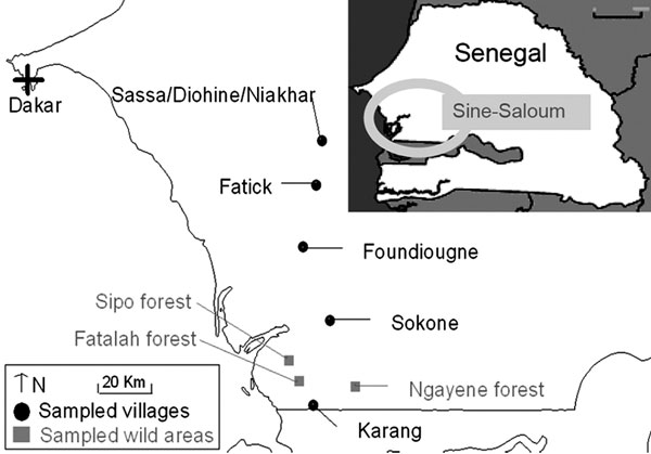 Sampling sites in the Fatick region of Sine-Saloum, Senegal.