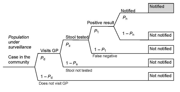 Sequential steps for notification to a surveillance system. The probability of progressing in the sequential steps in the surveillance system is represented by P. GP, general practitioner.