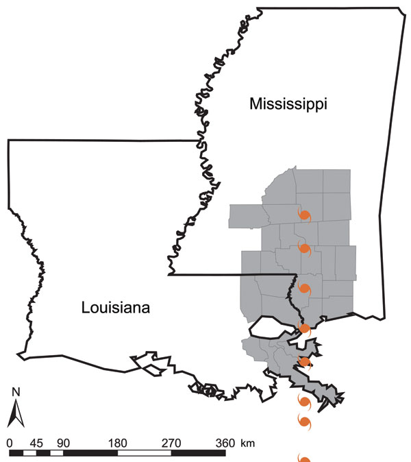 Hurricane Katrina track and hurricane-affected Louisiana parishes and Mississippi counties. Affected parishes and counties (gray) were defined as those in which &gt;50% of the total area was &lt;50 miles of the hurricane track coordinates.