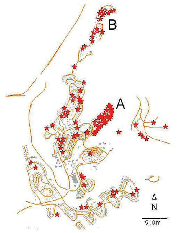 Geographic distribution of cutaneous leishmaniasis cases in Ma'ale Adumim, Israel, 2004–2005. Each star represents 1 case. In dense areas, some marks may be missing because of technical limitations. Wilderness ravines (white areas) reach within meters of houses at the periphery of the neighborhood in all directions. A and B indicate neighborhoods with the highest incidence rates.
