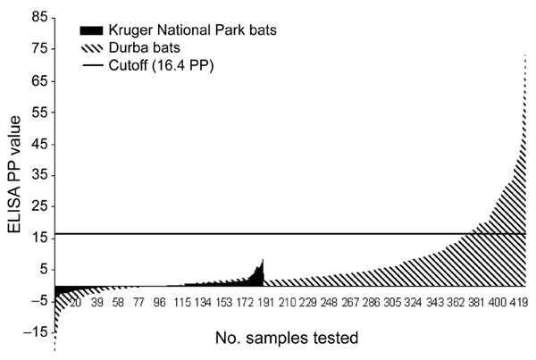 Marburg virus ELISA percent positivity (PP) values recorded on bat serum samples collected in 1999 in Durba, Democratic Republic of the Congo (n = 426), and from 1984 through 1994 in Kruger National Park, South Africa (n = 188). The cutoff PP value of 16.4 was fixed as 3 × (mean + 3 SD) of values observed in the Kruger National Park samples.