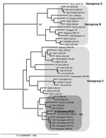 Thumbnail of Phylogenetic analysis of EV71 based on the entire VP1 sequences. The tree was prepared by the neighbor-joining method by using the EV71 strains in the world as described previously (6) and newly identified subgenogroup C4 strains (7,8) were also included in the analysis.