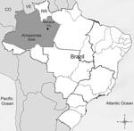 Thumbnail of Location of Amazonas State and Manaus City, Brazil. CO, Colombia; VE, Venezuela; RR, State of Roraima.