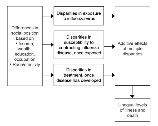 Possible sources of disparities during a pandemic influenza outbreak.