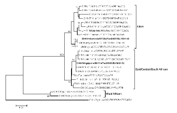 Phylogenetic relationships of chikungunya virus (CHIKV) isolates from 2 imported cases in Taiwan. The tree was constructed by the neighbor-joining method using partial nucleotide sequences of envelope protein 1 (E1) gene (255 bp) of 23 CHIKV strains. O’nyong-nyong (ONN) virus sequence was used as the outgroup virus. Bootstrap support values &gt;75 are shown. The 2 imported CHIKV strains in Taiwan are designated by boldface type. Viruses were identified by using the nomenclature of virus/country/