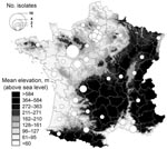 Thumbnail of County distribution, France, of Yersinia pseudotuberculosis isolated from human blood and reported to the Yersinia National Reference Laboratory over the 16 years preceding the winter of 2004–05. The number of isolates is represented by proportionally sized circles arbitrarily located at the center of the counties.