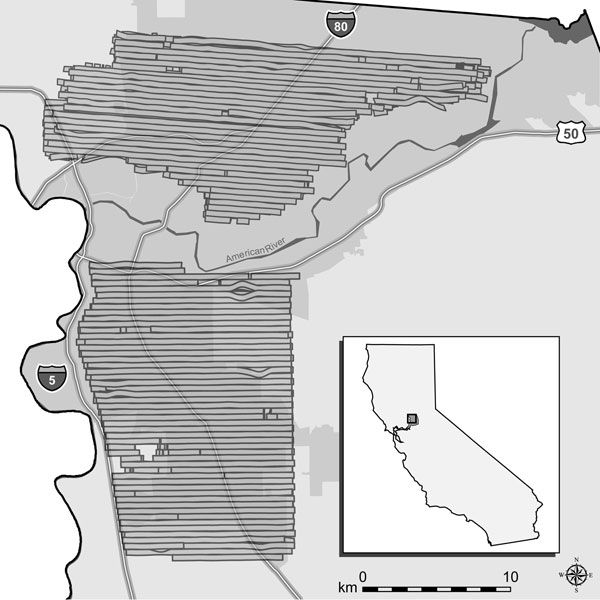 Map of northern and southern aerial adulticiding treatment areas in Sacramento County, California, 2005, showing the 2 urban areas treated by the Sacramento-Yolo Mosquito and Vector Control District (SYMVCD). Horizontal bars represent swaths of spray clouds created by individual passes of the aircraft, as defined by the spray drift modeling systems. Gaps within spray clouds were caused by factors such as towers and buildings that altered the flight of the aircraft (G. Goodman, SYMVCD, pers. comm.). These gaps were assumed to have negligible effect in this study; no human cases occurred within any gaps. Gray region surrounding much of the spray zones represents the urbanized area of Sacramento; urbanized area is defined by the US Census Bureau as a densely settled territory that contains &gt;50,000 persons (21). For display purposes, we used the NAD83 HARN California II State Plane coordinate system (Lambert Conformal Conic projection). Inset shows location of treatment areas in California.
