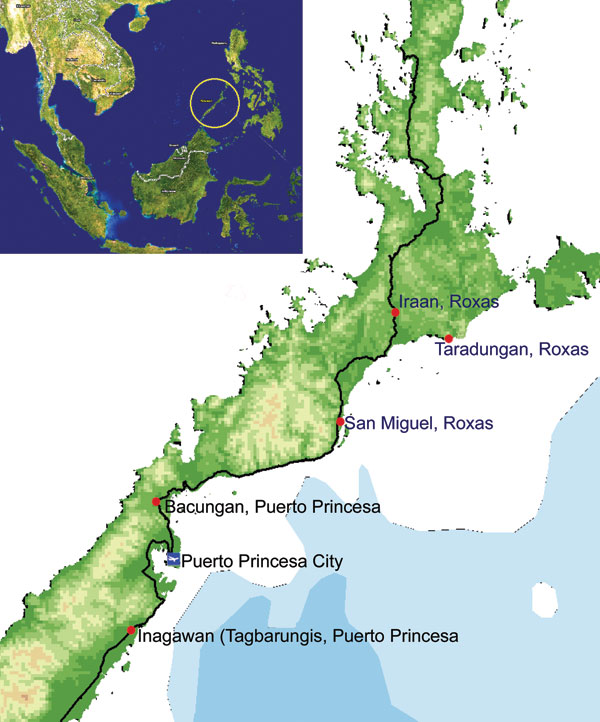 Map of Palawan, the Philippines, showing areas (red dots) where human Plasmodium knowlesi infections were confirmed (obtained from ESRI ArcGis 9 Media Kit and Provincial Development Office, Palawan, the Philippines).