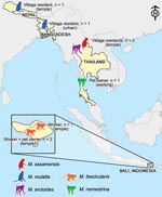 Thumbnail of Figure 3&nbsp;-&nbsp;Map of the diverse contexts, countries, and nonhuman primate (Macaca) species associated with human infection with simian foamy virus.