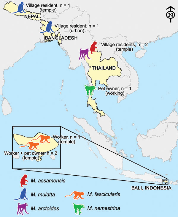Figure 3&nbsp;-&nbsp;Map of the diverse contexts, countries, and nonhuman primate (Macaca) species associated with human infection with simian foamy virus.