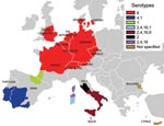 Thumbnail of Bluetongue virus (BTV) restriction zones in Europe, by serotype. The radial extension of BTV-8 across Europe increases the risk for an encounter between this serotype and other serotypes that occur in the Mediterranean Basin (second epidemiologic system, where serotypes BTV-1, BTV-2, BTV-4, and BTV-16 were identified and the main vector is Culicoides imicola). This situation increases the risk for reassortment of individual BTV gene segments, and, in the more southerly areas, the pe