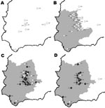 Thumbnail of Study areas in Spain showing wild ruminant sampling sites by study year. A) 2003–2004; B) 2004–2005; C) 2005–2006; D) 2006–2007. A year is defined as the period July–June. Animal movement restriction areas for each year (www.mapa.es) are shown (gray areas). White dots show wild ruminant seronegative sampling sites, and black dots show level of bluetongue virus seroprevalence in wild ruminants. Numbers of sampled wild animals per sampling site are shown in parentheses.