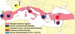 Thumbnail of Leishmaniasis in southern Europe. Distribution of the endemic disease; relative proportion of autochthonous (visceral, cutaneous) and imported human cases and seroprevalence in dogs (from data reported in Table).