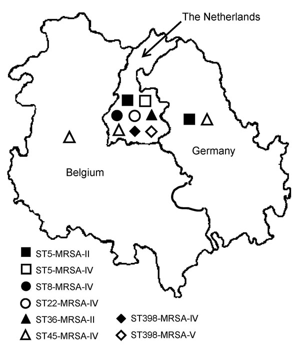 Distribution of the major methicillin-resistant Staphylococcus aureus (MRSA) clones in the Euregio Meuse-Rhin region, July 2005–April 2006.