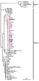 Thumbnail of Whole genome–based phylogenetic relationship of porcine respiratory and reproductive syndrome viruses (PRRSVs) LV4.2.1, the prototype of type I (European PRRSV) (shown in green), and VR2332, the standard strain of type II (North American PRRSV) (shown in pink). Three Chinese isolates reported before 2006 (HB-1, HB-2, and CH-1a) are shown in blue. Chinese 2006 PRRSV isolates are shown in purple. Chinese 2007 isolates are shown in black boldface, and a representative of 2007 Vietnamese strains (07QN) is shown in red boldface. The 2007 Vietnamese and Chinese PRRSV isolates are classified into the same subclade of type II, as are all the 2006 Chinese PRRSV strains.