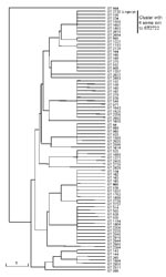 Thumbnail of Genetic relatedness of Streptococcus pneumoniae ST-2722 (Legacy strain) to reported types that have 5 or 6 of the same loci as the Legacy strain. List of types available at the multilocus sequence typing database (http://spneumoniae.mlst.net). Scale bar indicates genetic linkage distance.