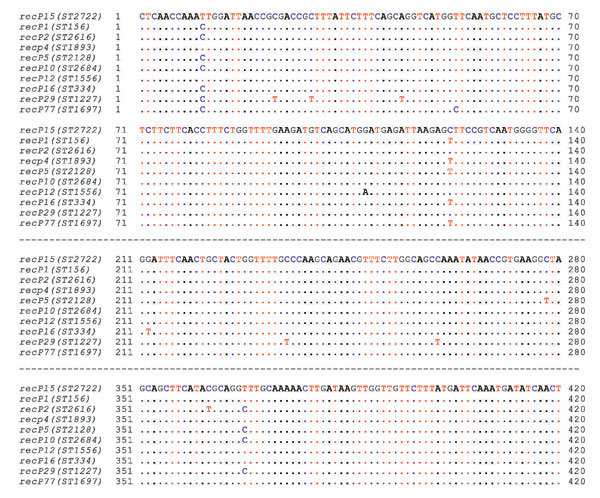 Variable sites (colors) in recP DNA sequences (allele) of ST-2722 (Legacy strain) and those in other Streptococcus pneumoniae that have the same 6 loci. List of types available at the multilocus sequence typing database (http://spneumoniae.mlst.net).