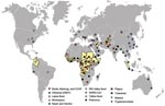 Thumbnail of Geographic distribution of recent emerging or reemerging infectious disease outbreaks and countries affected by conflict, 1990–2006. Countries in yellow were affected by conflict during this period (source: Office for the Coordination of Humanitarian Affairs, World Health Organization, www.reliefweb.int/ocha_ol/onlinehp.html). Symbols indicate outbreaks of emerging or reemerging infectious diseases during this period (source: Epidemic and Pandemic Alert and Response, World Health Organization, www.who.int/csr/en). Circles indicate diseases of viral origin, stars indicate diseases of bacterial origin, and triangles indicate diseases of parasitic origin. CCHF, Crimean-Congo hemorrhagic fever; SARS-CoV, severe acute respiratory syndrome coronavirus
