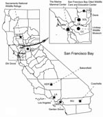 Thumbnail of Map of California displaying sample collection sites for avian influenza testing, fall 2005–summer 2007. The casual risk category is represented by a square, recreational risk category by a star, and occupational risk category by a circle. Counties are abbreviated as follows: CC, Contra Costa; GLE, Glenn; KER, Kern; LA, Los Angeles; MRN, Marin; ORA, Orange; RIV, Riverside; SAC, Sacramento; SOL, Solano; YOL, Yolo.
