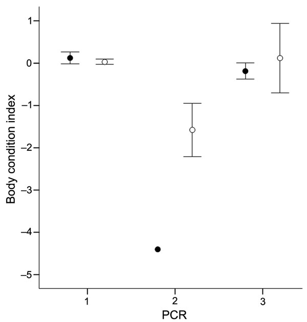 Figure 1&nbsp;-&nbsp;Relationship between body condition index (mean ± standard error) and diagnosis of European bat lyssavirus type 1 by reverse transcription PCR. Males and females are represented as filled and open circles, respectively. 1, only negative in oropharyngeal swab and brain specimens (● n = 49; ○ n = 225); 2, positive in oropharyngeal swab and brain specimens (● n = 1; ○ n = 4); 3, positive in oropharyngeal swab but negative in brain specimen (● n = 3; ○ n = 4).