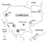 Thumbnail of Map of Cambodia with locations of surveillance sites and proportion of isolates containing 1, 2, or &gt;3 copies of pfmdr1, May 2004–December 2006.