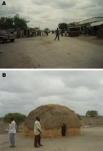 Thumbnail of Figure 1&nbsp;-&nbsp;Photographs depicting differences between sublocations in northeastern Kenya. Sogan-Godud (A) has more permanent dwellings and stores with tin-roofed buildings. Gumarey (B) has more semipermanent traditional dwellings and animal grazing areas.