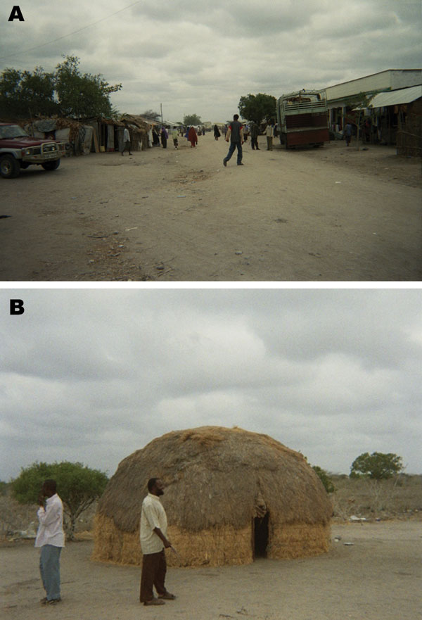 Figure 1&nbsp;-&nbsp;Photographs depicting differences between sublocations in northeastern Kenya. Sogan-Godud (A) has more permanent dwellings and stores with tin-roofed buildings. Gumarey (B) has more semipermanent traditional dwellings and animal grazing areas.