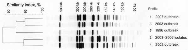 Pulsed-field gel electrophoresis–generated dendrogram for 43 Shigella sonnei isolates obtained from sporadic or outbreak cases during 1996–2007 in the Paris area. Profile 1) representative isolates from the 2007 outbreak, including 32 isolates with azithromycin MIC &gt;256 mg/L by Etest and 2 isolates with azithromycin MIC &lt;16 mg/L. Profile 2) 6 representative isolates from sporadic cases (2003–2006) with azithromycin MIC &lt;16 mg/L. Profile 3) representative isolate Shi 03-3580 from 2003 outbreak with azithromycin MIC &lt;16 mg/L by Etest. Profile 4) representative isolate Shi 02-9633 from 2002 outbreak with azithromycin MIC &lt;16 mg/L by Etest. Profile 5) representative isolate Shi 96 1420 from 1996 outbreak with azithromycin MIC &lt;16 mg/L by Etest.