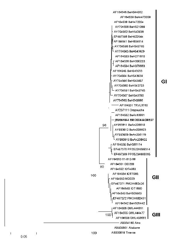Phylogenetic tree of Oropouche virus strains; boldface shows the sample from the patient in this study. Phylogenetic tree was constructed from partial nucleocapsid gene sequence (522 nt, 27–200 aa) by neighbor-joining method implemented in MEGA 3.0 software (9). Kimura 2-parameter nucleotide substitution model was used, and the reliability of the branching patterns was tested by 1,000 bootstrap pseudo replicates. Bootstrap values (%) are shown in main nodes. Aino, Akabane, and Tinaroo viruses we