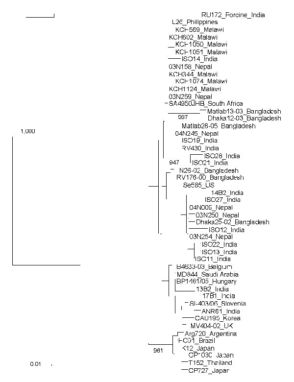 Phylogenetic tree based on VP7 nucleotide sequences from representative Malawi G12 strains and G12 strains deposited in DNA databases. Strain designations are followed by country of origin. Malawi strain KCH1051 is genotype G12P[8] and has an indeterminate RNA profile. Horizontal lengths are proportional to the genetic distance calculated with the Kimura 2-parameter method. Number adjacent to the node represents the bootstrap value of 1,000 replicates and values &lt;80% are not indicated. Scale