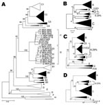 Thumbnail of A) Phylogenetic comparison of all complete genotype I genomes (n = 15) obtained and compared to sequences of all known genotypes and subgenotypes. Non–genotype I genotypes identified in Lao People’s Democratic Republic in the present study are shown as full triangles. Numbers indicate bootstrap values of important nodes. B–D) Phylogenetic comparison of positions 400–1400 (left), 1400–3000 (middle), and 3000–400 (right), of all genotype I strains with all known genotypes and subgenotypes. Percentages indicate average genetic distances between genotype I and G, C, or A, respectively. Scale bars indicate number of substitutions per site.