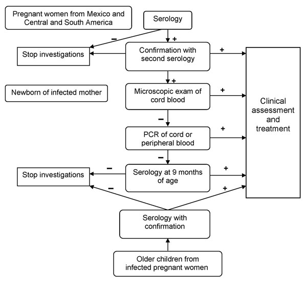 Algorithm for screening, diagnosis, and treatment of Trypanosoma cruzi congenital infection at Geneva University Hospitals, Geneva, Switzerland.