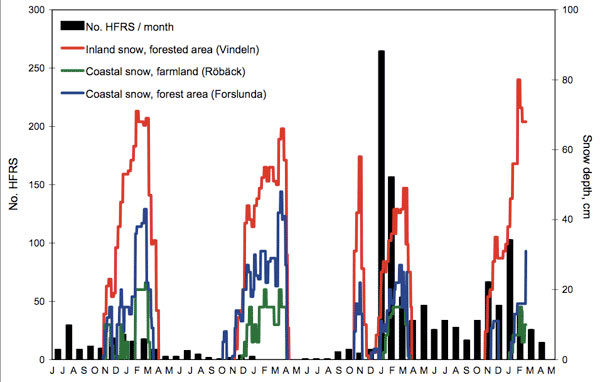 Human cases of hemorrhagic fever with renal syndrome (HFRS) per month from HFRS-endemic Västerbotten County, Sweden, July 2004 through June 2008, and measured snow depth at 3 locations through February 2008. The season 2004–05 represents the most recent epidemic peak year, before the large outbreak of 2006–07; 2005–06 represents an ordinary low-incidence season. The exceptional increase of HFRS cases in midwinter 2006–07 followed a rapid snowmelt and complete loss of protective snow cover to the